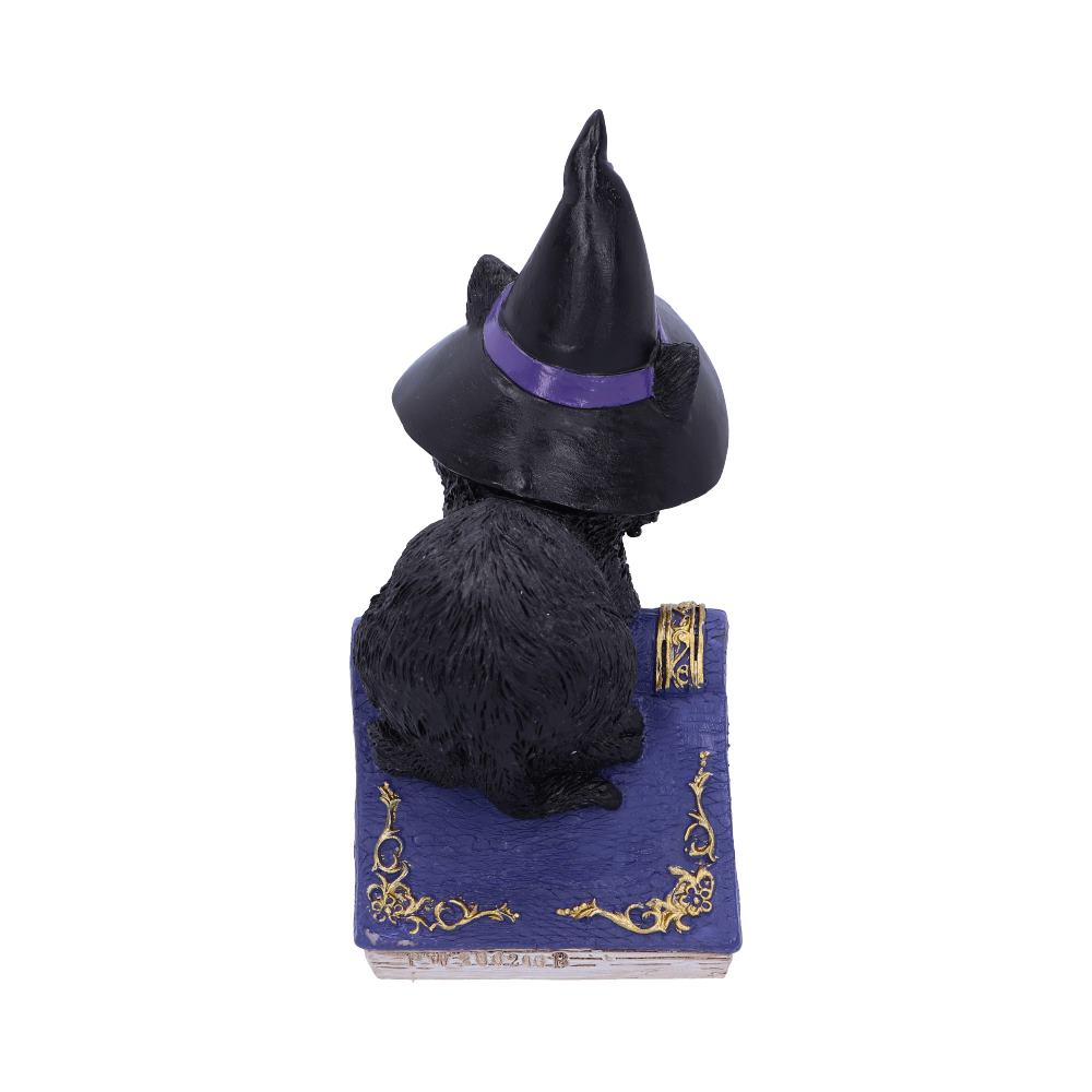 Nemesis Now Wiccan & Witchcraft Collection - Hocus Small Witches Familiar Black Cat and Spellbook Figurine 6