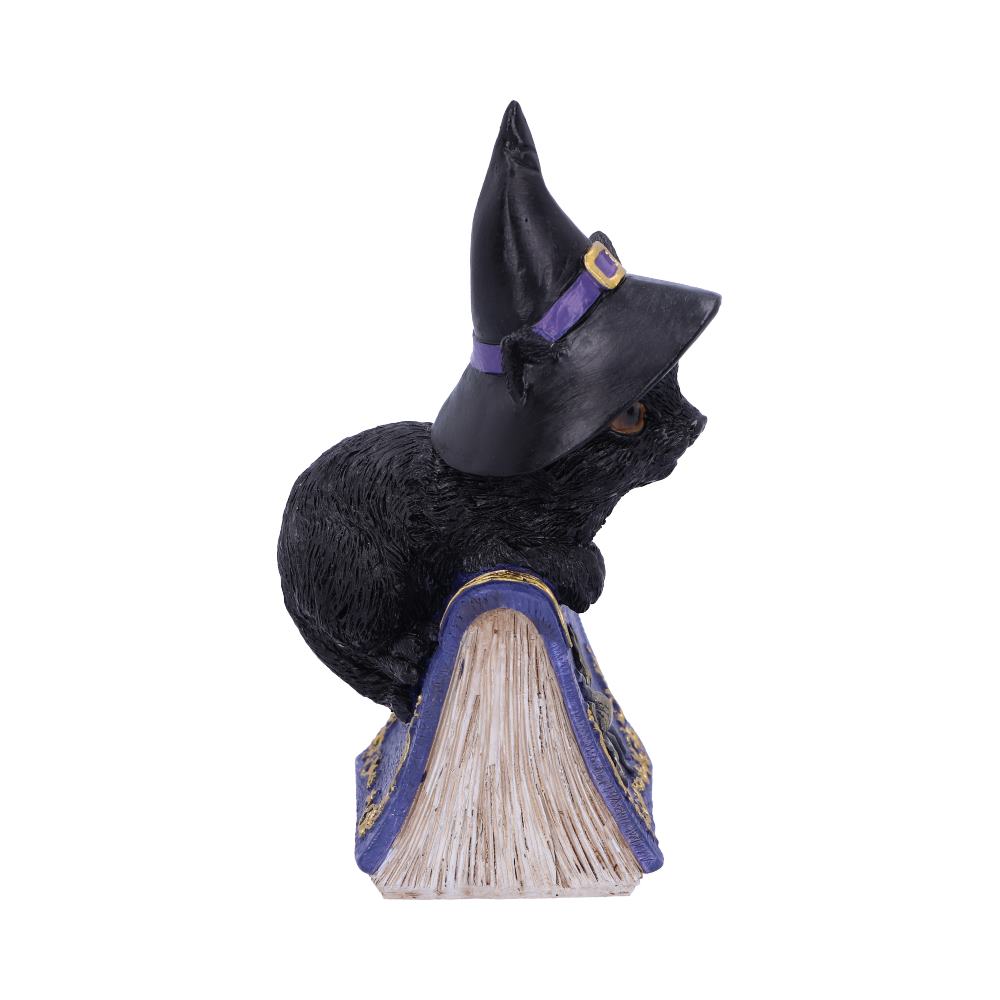 Nemesis Now Wiccan & Witchcraft Collection - Hocus Small Witches Familiar Black Cat and Spellbook Figurine 7