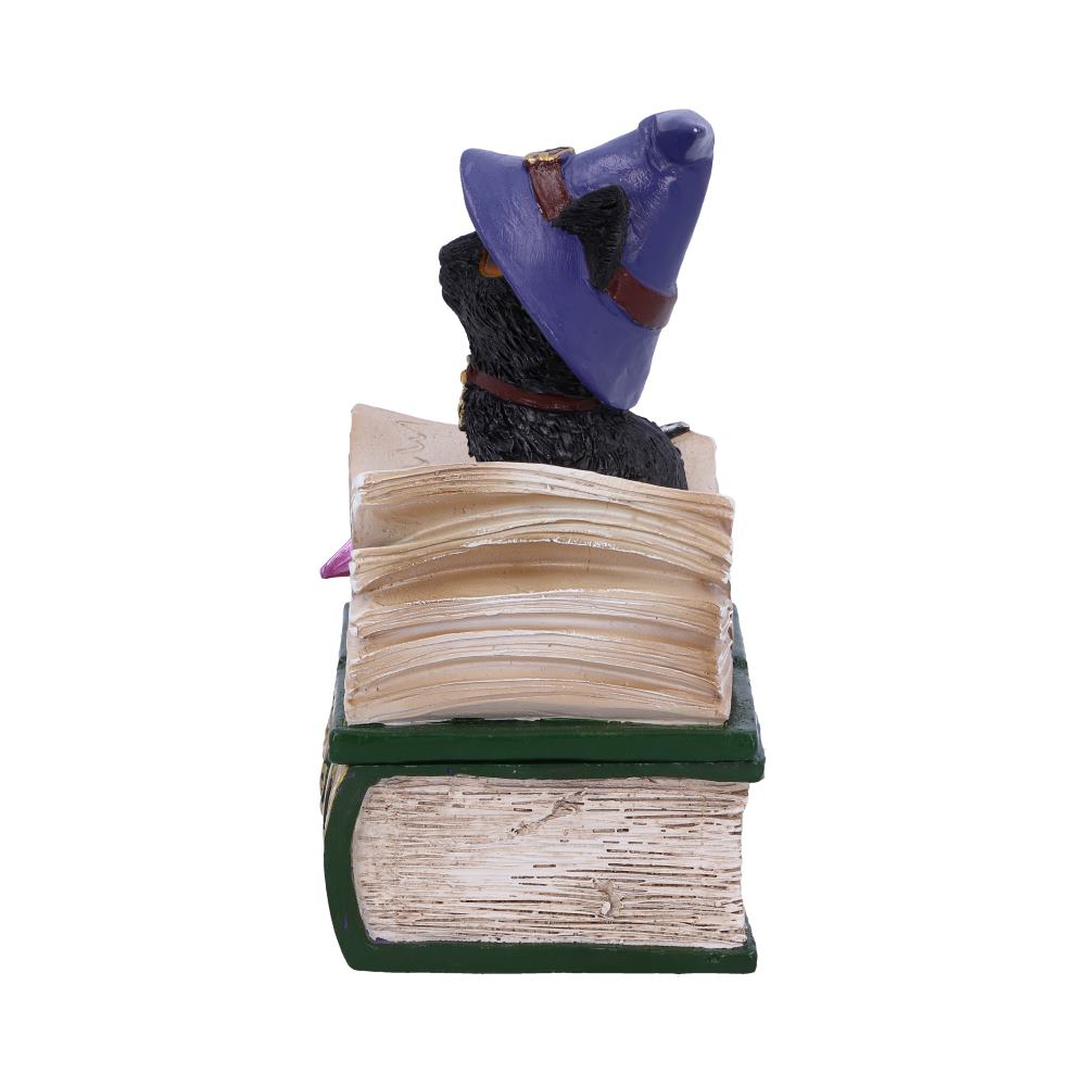 Nemesis Now Wiccan & Witchcraft - Binx Small Witches Familiar Black Cat and Spellbook Figurine Box 5