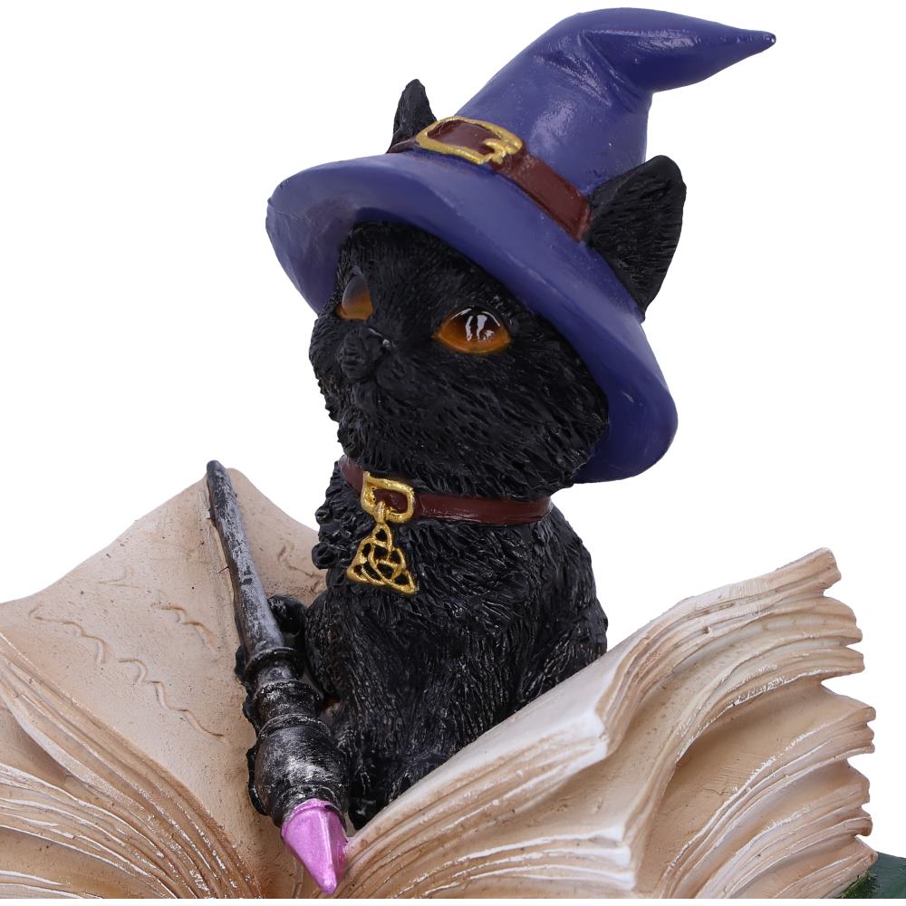 Nemesis Now Wiccan & Witchcraft - Binx Small Witches Familiar Black Cat and Spellbook Figurine Box 3