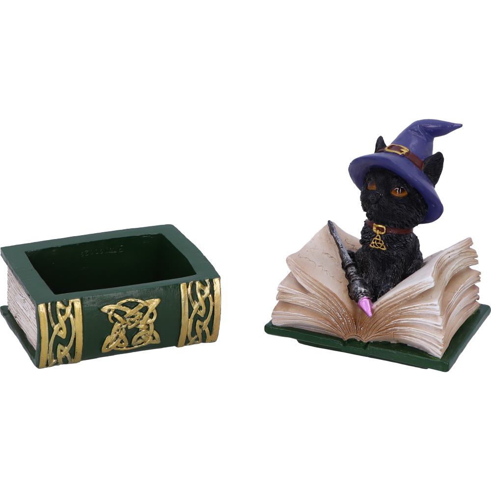 Nemesis Now Wiccan & Witchcraft - Binx Small Witches Familiar Black Cat and Spellbook Figurine Box 7